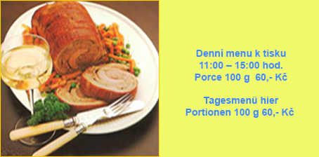 Denní menu v hotelu Zetocha